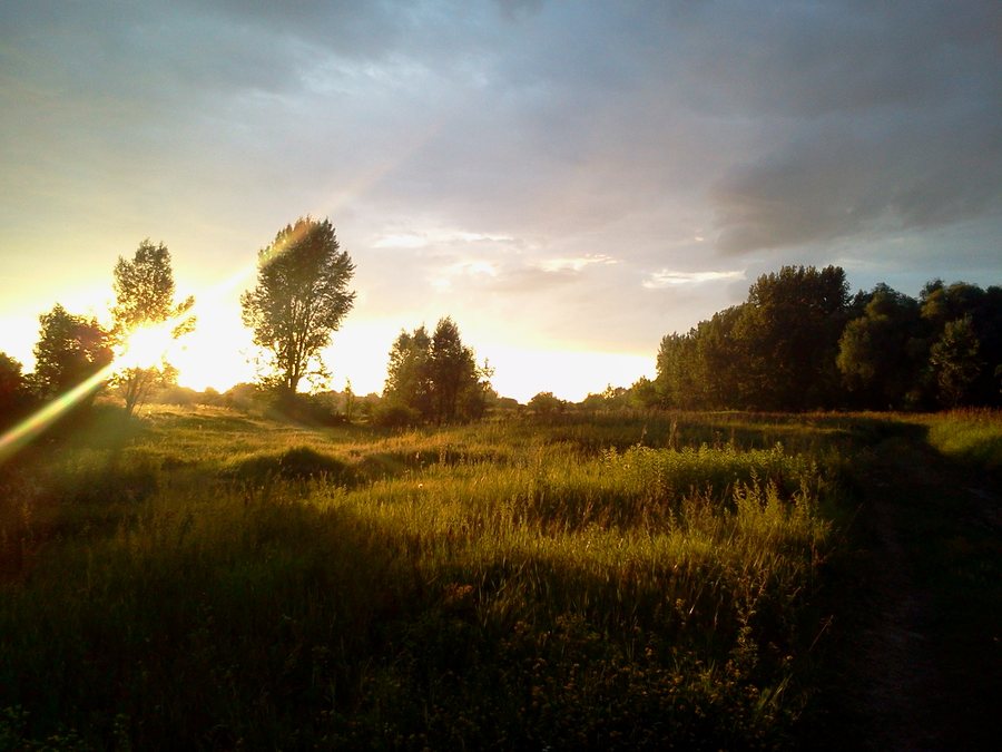 File:Łomianki - nadwiślańskie łąki - panoramio.jpg