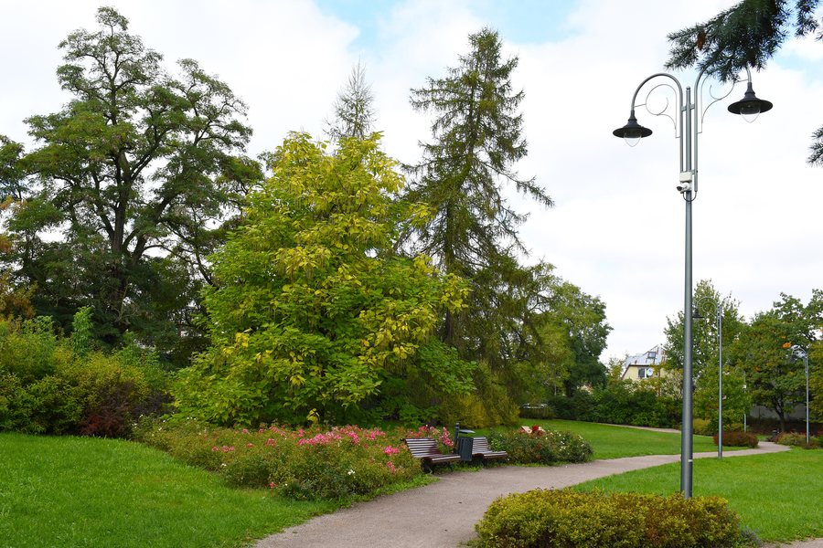File:Piaseczno, Park. Early autumn.jpg