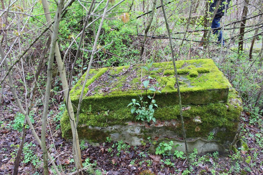 File:Kosewo - cmentarz prawosławny 10.jpg