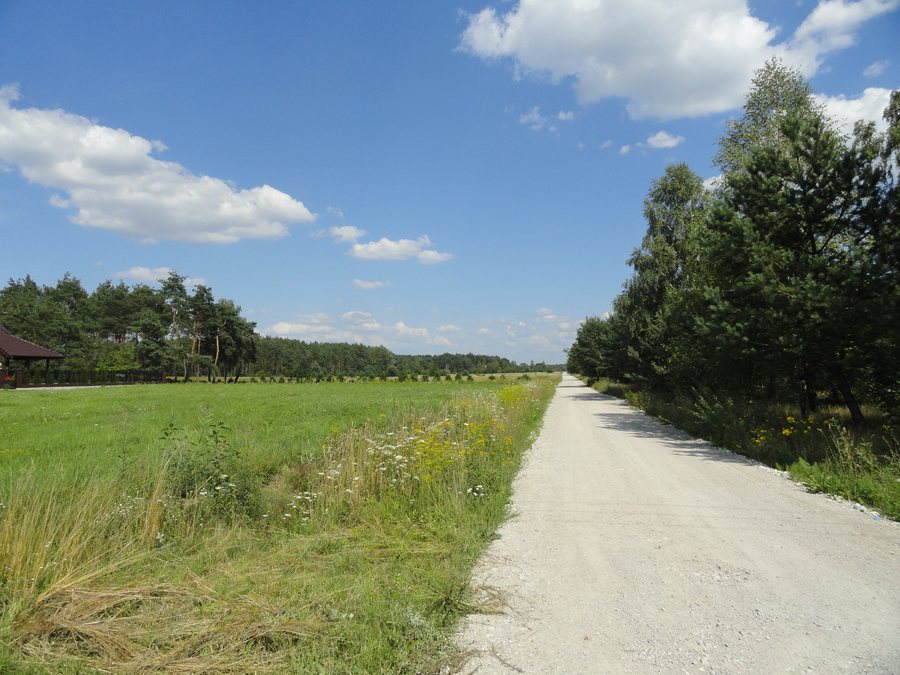 File:2018 Nowe Załubice Bratnia.jpg