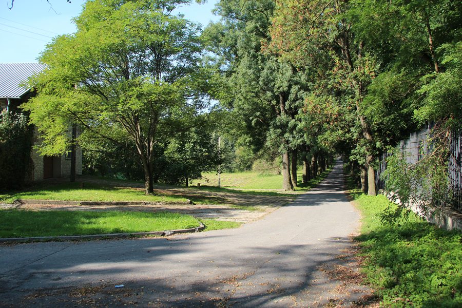 File:Aleja w parku, Jabłonna.JPG