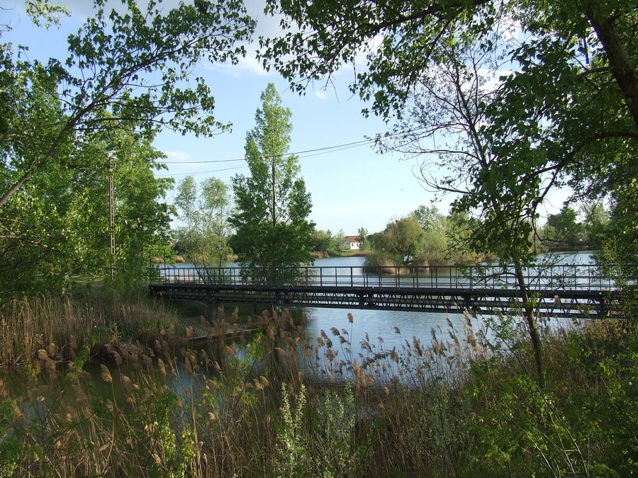 File:Délegyháza 11.jpg