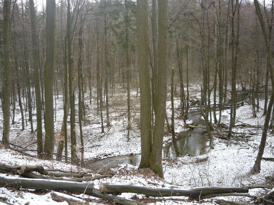File:Pénzesgyőr, Hungary - panoramio - Rudi Szabó.jpg
