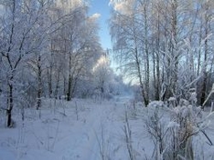 Schnee in Russland
