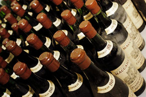 Wein Krim