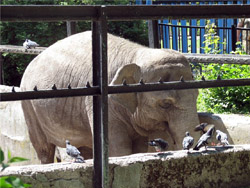 Zoo Kaliningrad